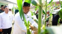 gubri-abdul-wahid-buka-sekolah-eduw