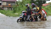 206-desa-dan-116-kecamatan-di-riau