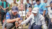 97863-news-walikota-dan-wawako-