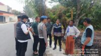41761-news-luas-lahan-terbakar-