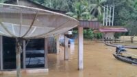 BAnjir