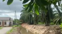 Warga Kandang Mas Apresiasi Gerak Cepat PUPR Normalisasi Aliran SungaiBengkulu, InfoPublik - Si Normalisasi aliran air Sungai yang ada di RT 41, 48, 52, 25, dan 38 Perumahan Kandang Mas Kota Bengkulu