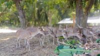IMG_20260610_080629