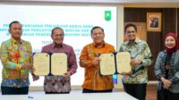riau 1