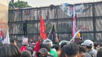 Demonstran
